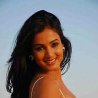 Sonal Chauhan new pictures | Picture 45096